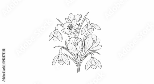 Delicate sketch of snowdrops and crocuses in bloom