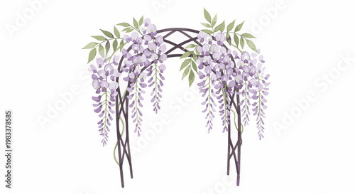 Delicate purple wisteria cascades over a dark arbor structure