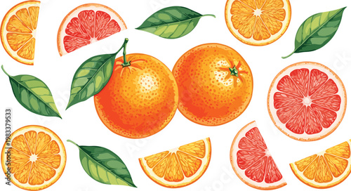 Fresh Orange and Grapefruit Slices with Green Leaves in a Bright Vector Design for Fruit, Juice, and Healthy Lifestyle Illustrations