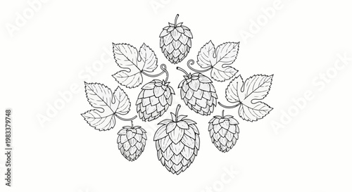 Detailed botanical illustration of hop cones and leaves in a circular arrangement