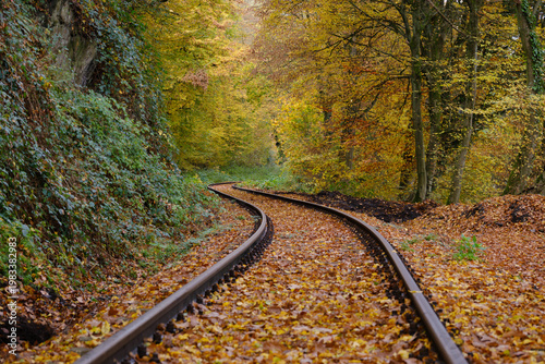 Tableau sur toile Curved Railway Tracks through Autumn Forest at Hespertalbahn in Kupferdreh Essen