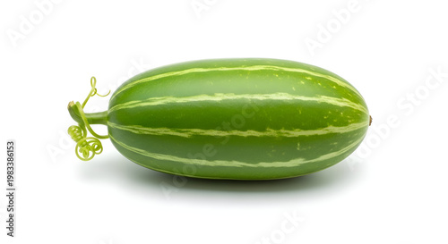 Fresh green vegetable on white background.