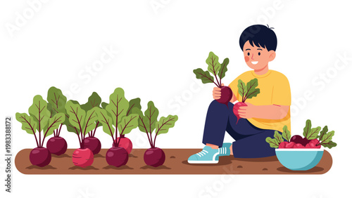 Young boy sitting in a vegetable garden and happily harvesting fresh purple beetroots from the soil into a blue bowl.