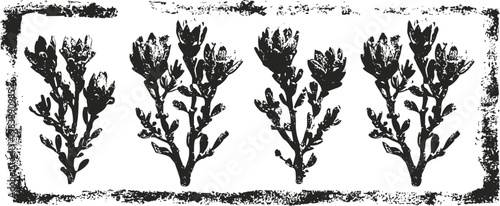 Vintage botanical illustration of blooming wildflowers with textured frame border