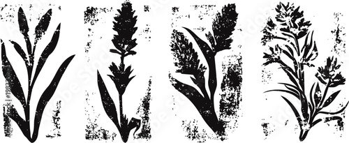 black floral silhouettes with textured effect on white background decorative plants, leaves and branches design