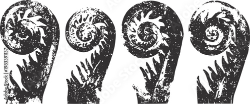 vintage fiddle scrolls set four black antique violin or viola headstock designs musical instrument decoration elements