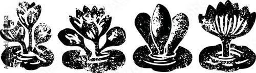 Black silhouette of diverse lettuce varieties on white background outline collection