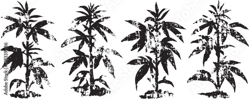 Four silhouettes of tall plants with abundant leaves and seed clusters in a row