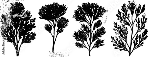 Four black silhouette herb illustrations with delicate leaves and stems in vintage