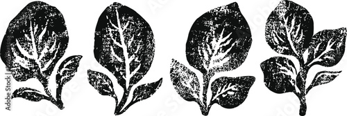 black and white spinach leaf silhouettes with detailed vein texture and natural shapes