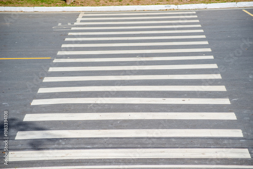 Pedestrian Crossing on Urban Asphalt
