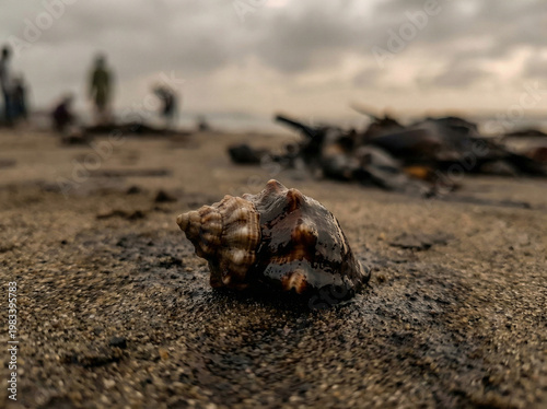 Close up of a seashell covered with oil on wet sand with blurred figures of voluntaries in the background. Concept of environmental pollution, marine life threat, oil spills, ecological crisis
