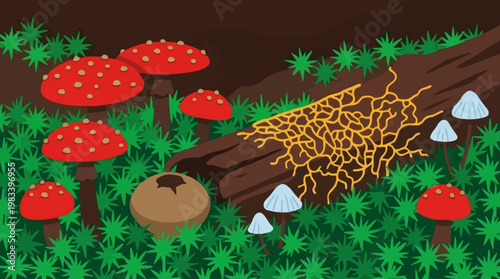Whimsical Forest Floor Illustration with Mushrooms and Mycelium