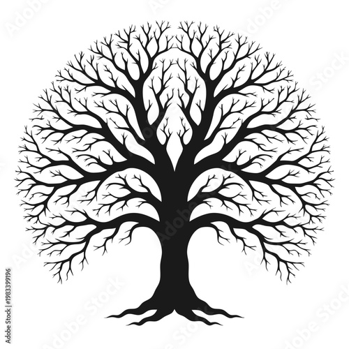 Detailed black silhouette of a large, spreading tree with elaborate, bare branches forming a circular canopy, symbol of life, nature, and time.
