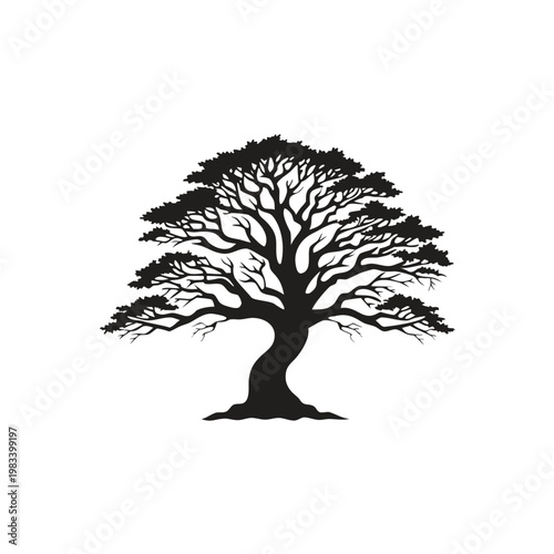 Stylized black silhouette of a mature tree with intricate branches and dense foliage, representing nature, growth, and life, isolated vector.