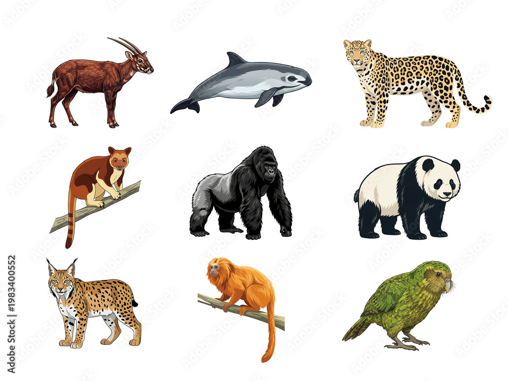 Obraz premium Rare and protected animals of the world