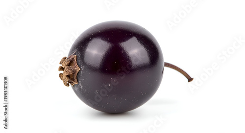Fresh Blackcurrant on White Background.