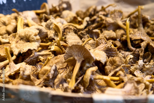 Mushrooms. A display of mushrooms at a market stall in the city of Porto.
