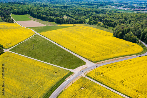 Bird's-eye view of flowering rapeseed fields in the Lower Taunus region
