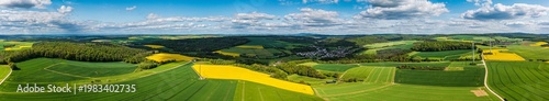 Bird's-eye view of flowering rapeseed fields in the Lower Taunus region