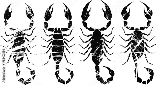 set of four black scorpion silhouettes with textured patterns, isolated on white background