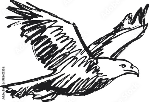 eagle flying in midair with wings spread wide, soaring bird sketch illustration