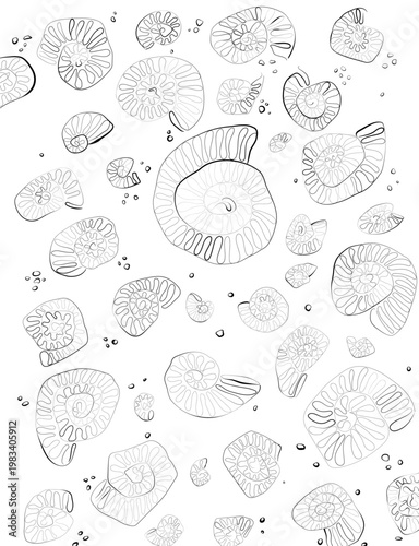 Nahtloses Ammoniten Muster als Vektorillustration