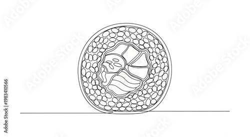 Detailed line art of a single sushi roll with many small oval shapes