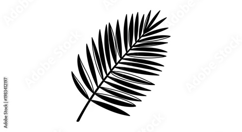 Black silhouette of a stylized palm frond against a white background