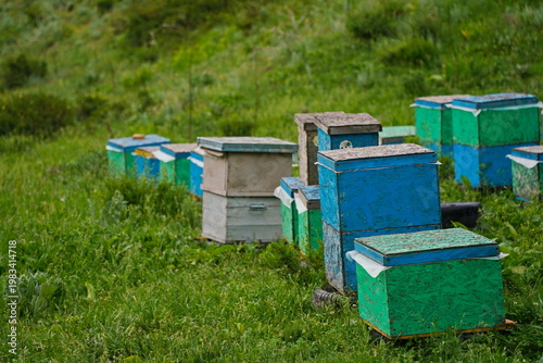 Wooden beehives for bees placed at the foot of the mountain area. Rainy spring weather.