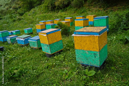 Wooden beehives for bees placed at the foot of the mountain area. Rainy spring weather.