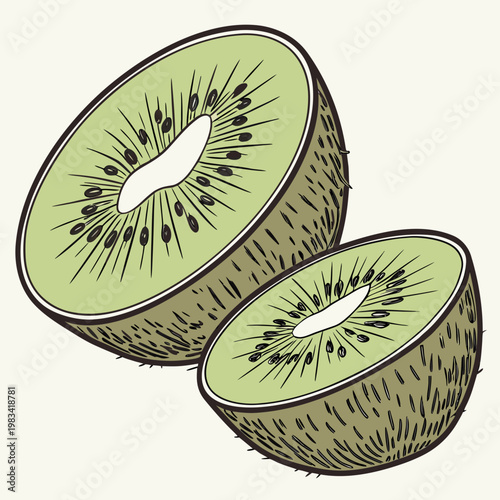 A cartoon illustration of two halves of a kiwi fruit