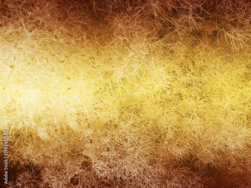 Golden abstract texture of smoke tree plant smoketree cotinus coggygria background with soft light and warm autumn glow for design