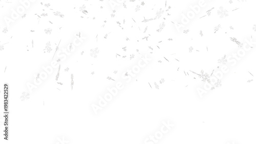 Minimalist winter snow falling, delicate white snowflakes on light background, soft winter weather texture for seasonal holiday design isolated on White Background