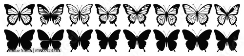 Butterfly Silhouettes Collection with Detailed Line Art Isolated on Transparent Background