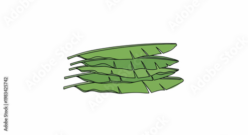 Stack of Green Banana Leaves Tropical Plant Natural Background.