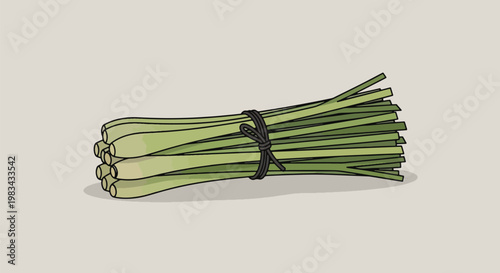 Fresh Lemongrass Bundle Tied With String Asian Herb Culinary Ingredient.
