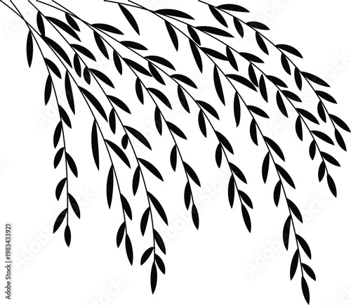Simple black silhouette of a weeping willow branch illustration vector