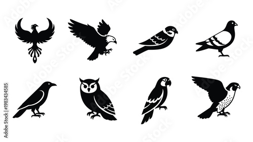 Collection of diverse bird silhouettes in black and white showcasing various species and wing positions