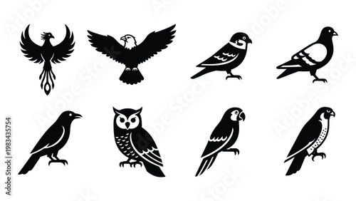 A collection of black silhouette bird illustrations depicting various species with outstretched wings high quality professional