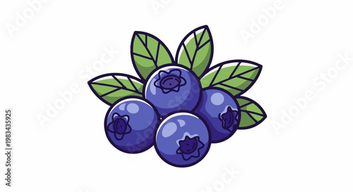 A cluster of ripe, blue blueberries with green leaves on a white background