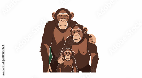 A family of chimpanzees, with two adults and one baby, are together