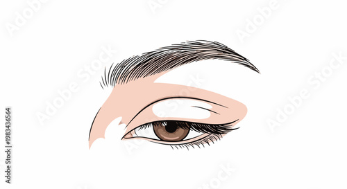 A close-up artistic rendering of a human eye with brown iris and dark lashes