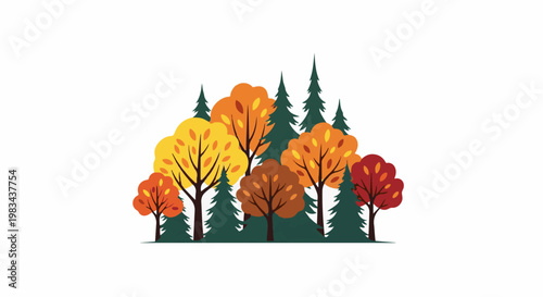 Diverse deciduous trees with autumnal foliage interspersed with evergreens
