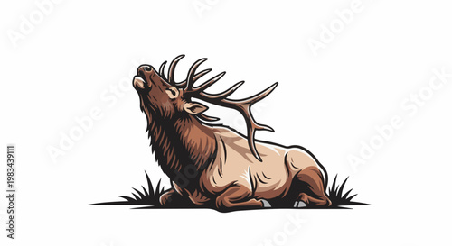 Majestic elk with large antlers rests on grass, head tilted upwards