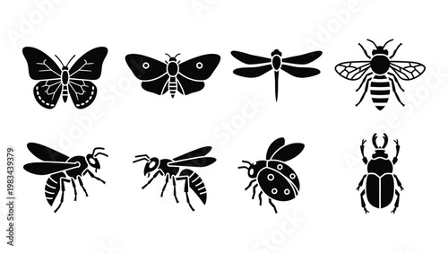A collection of monochrome insect silhouettes including butterflies dragonflies bees beetles and wasps high quality professional