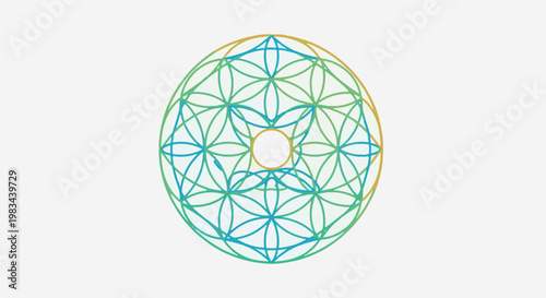 Intricate geometric mandala design with intersecting circular and petal shapes