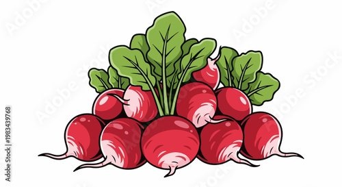 A vibrant illustration of red radishes with leafy green tops
