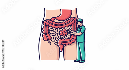 Doctor examines internal digestive organs with hands