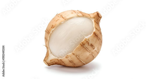 Close-up of a coconut shell.